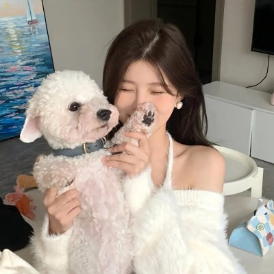 人民的名义